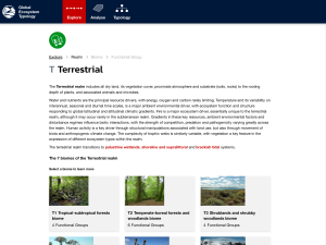 Global Ecosystem Typology